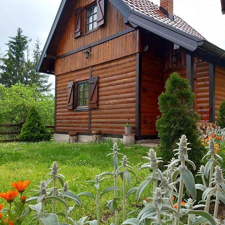 Vila Brvnare Na Brdu Sljivovica  Exteriér fotografie